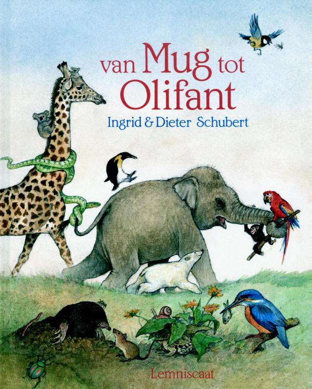 I'm toy Hamerbank met ballen olifant groen ( met naam