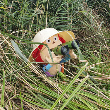 Onderbouw van Verschoorschool Sleeuwijk hult Semsom in jungle-thema