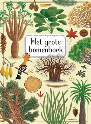 Het grote bomenboek