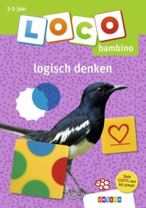 Loco bambino logisch denken