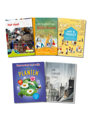boekenpakket thema de wijk (groep 5 6)