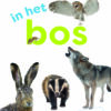 boekenpakket veilig leren lezen zoem versie anker 3 (15 titels)