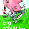 boekenpakket veilig leren lezen zoem versie anker 5 (15 titels)