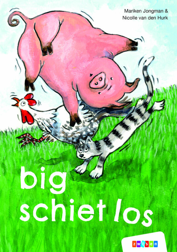 boekenpakket veilig leren lezen zoem versie anker 5 (15 titels)