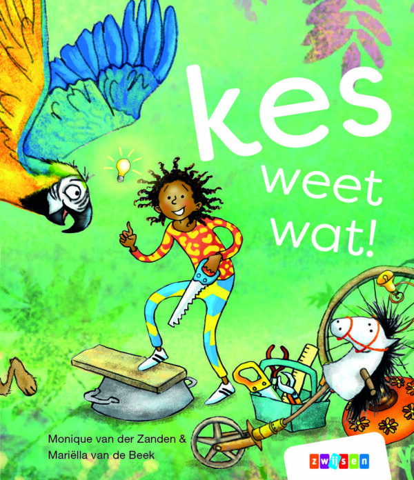 boekenpakket veilig leren lezen zoem versie anker 4 (15 titels)