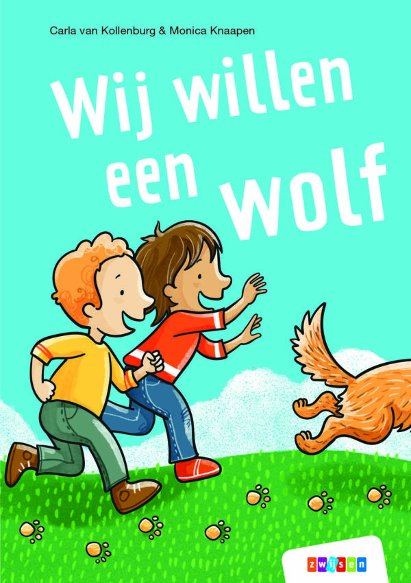 boekenpakket veilig leren lezen zoem versie anker 6 (15 titels)
