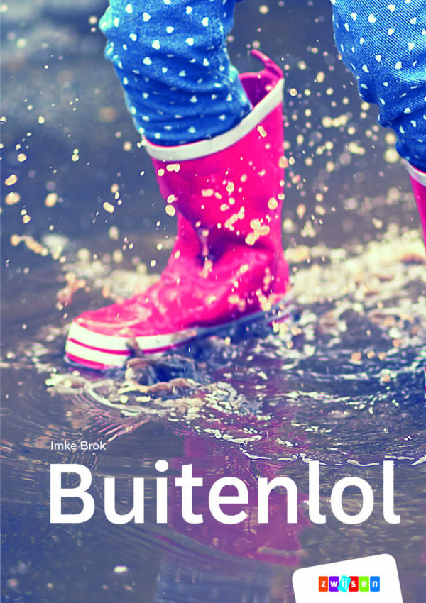 boekenpakket veilig leren lezen zoem versie anker 6 (15 titels)