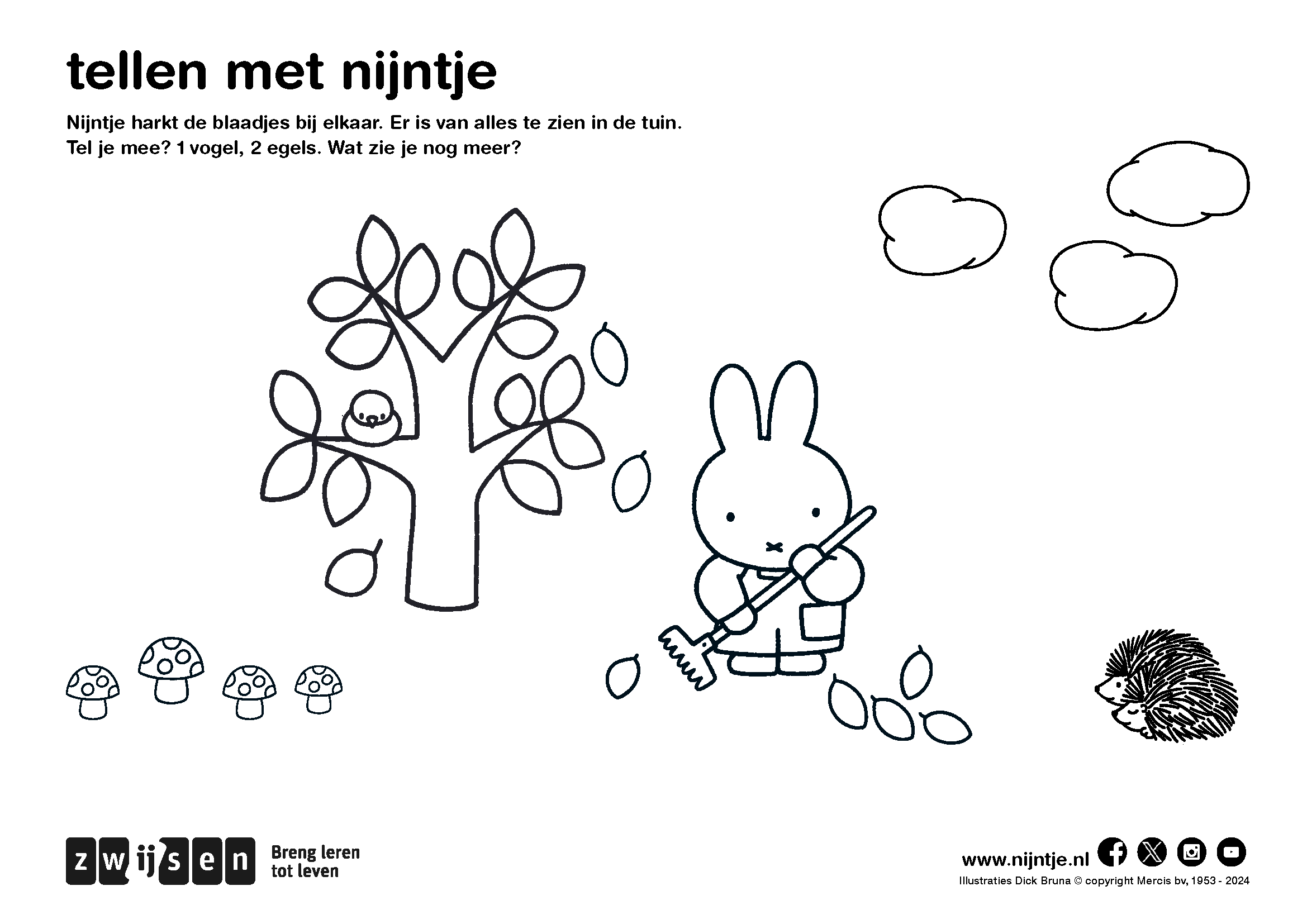 kleuren en tellen met nijntje v02