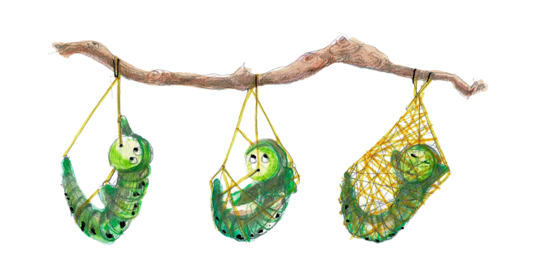 ikleesinformatief zijdelingssldr 776x400 4