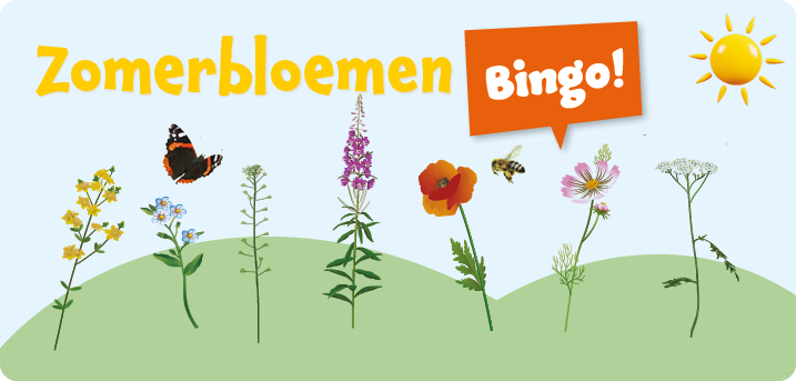 Code D Zomerbloemenbingo