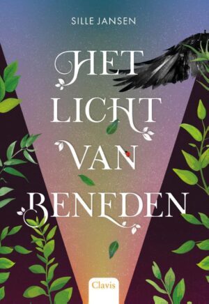 Het licht van beneden