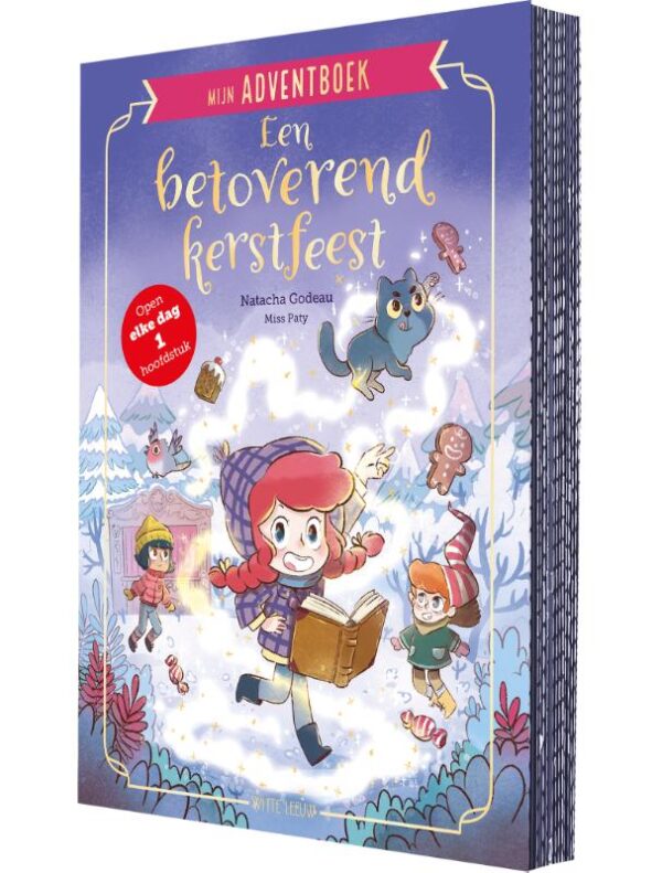 Mijn adventboek - Een betoverend kerstfeest - Afbeelding 1