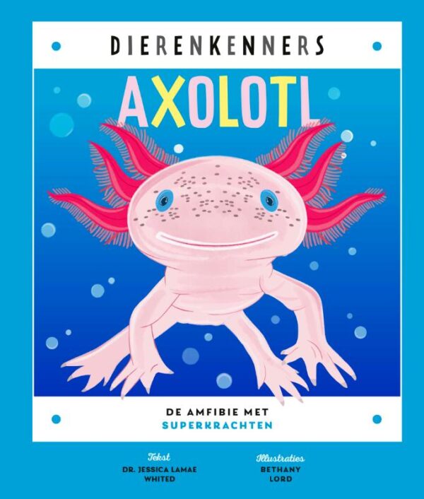 Axolotl - Afbeelding 1