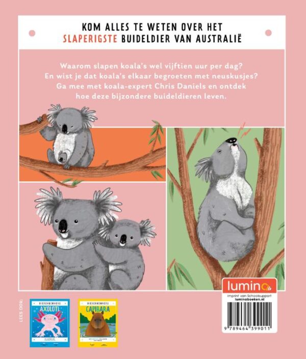 Koala - Afbeelding 2