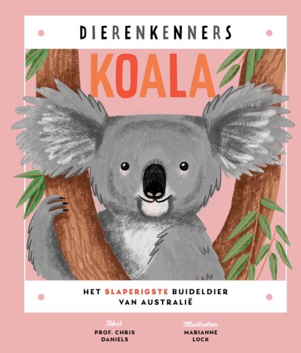 Koala - Afbeelding 1