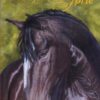 De furie van Forte - Afbeelding 1