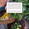 Tuinkind - Afbeelding 2