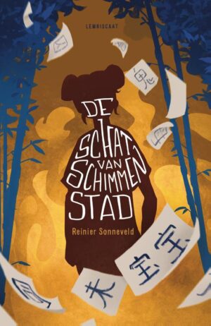 De schat van Schimmenstad