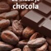 Zo maak je chocolade - Afbeelding 1