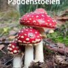 Paddenstoelen - Afbeelding 1