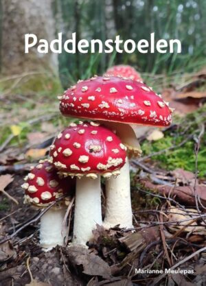 Paddenstoelen