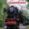 De stoomtrein - Afbeelding 1