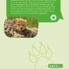 Cheeta's - Afbeelding 2