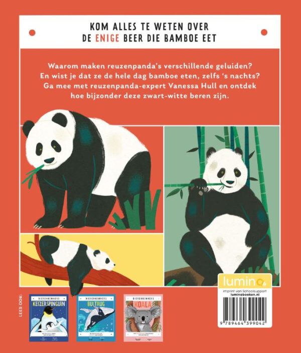 Reuzenpanda - Afbeelding 2