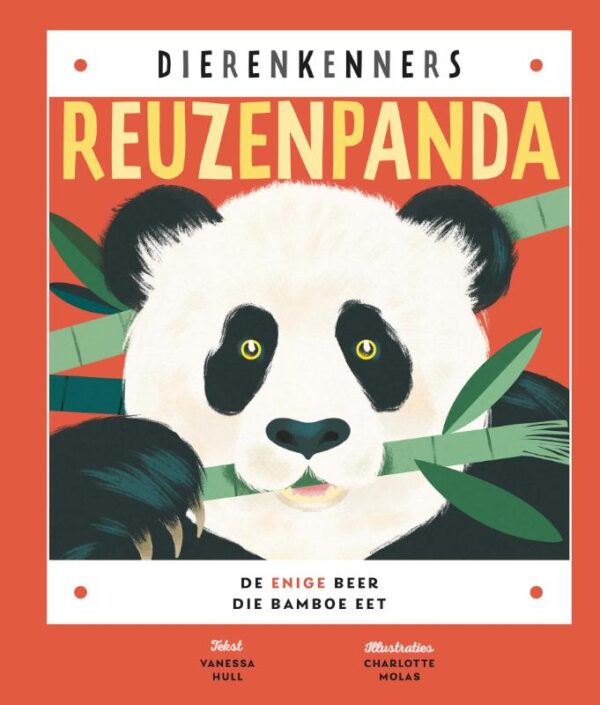 Reuzenpanda - Afbeelding 1