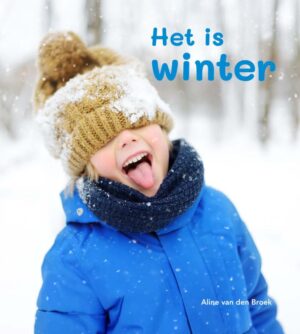 Het is winter