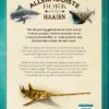Het allermooiste boek over haaien - Afbeelding 2