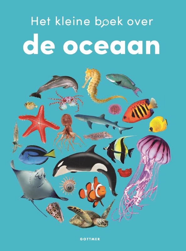 Het kleine boek over de oceaan - Afbeelding 1