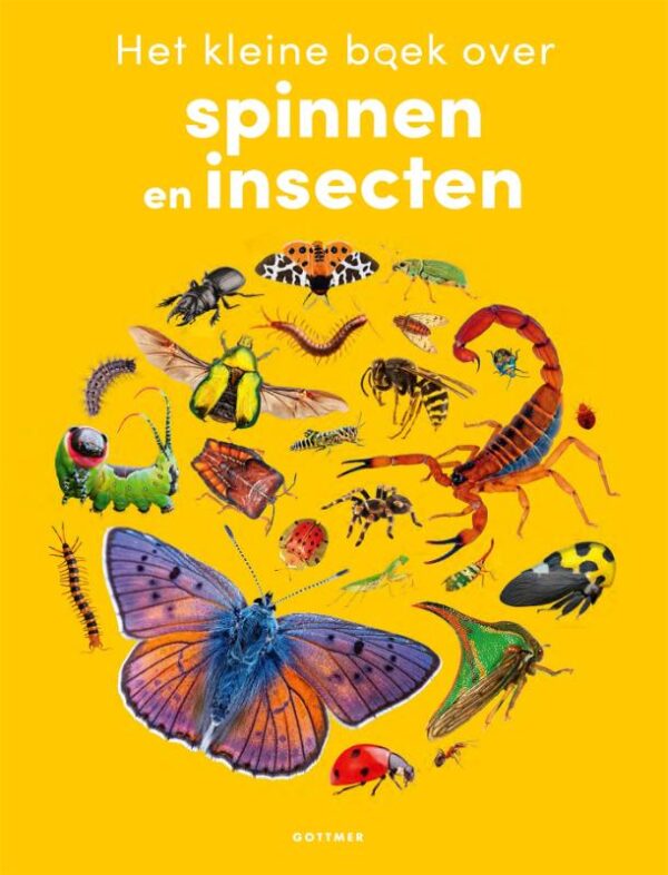 Het kleine boek over spinnen en insecten - Afbeelding 1