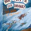 Hoe word je een piraat? - Afbeelding 1