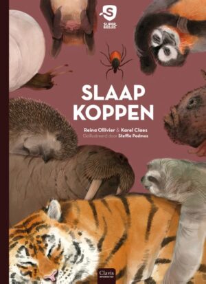 Slaapkoppen