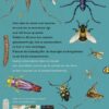 Insecten - Afbeelding 2