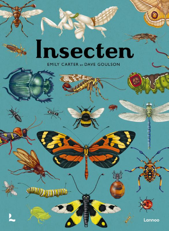 Insecten - Afbeelding 1