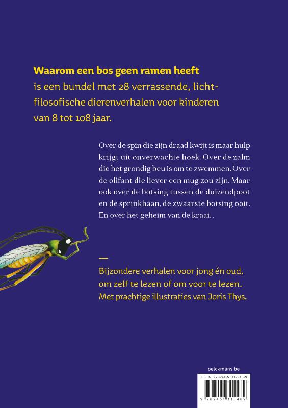 Waarom een bos geen ramen heeft - Afbeelding 2