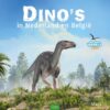 Dino's in Nederland en België - Afbeelding 1