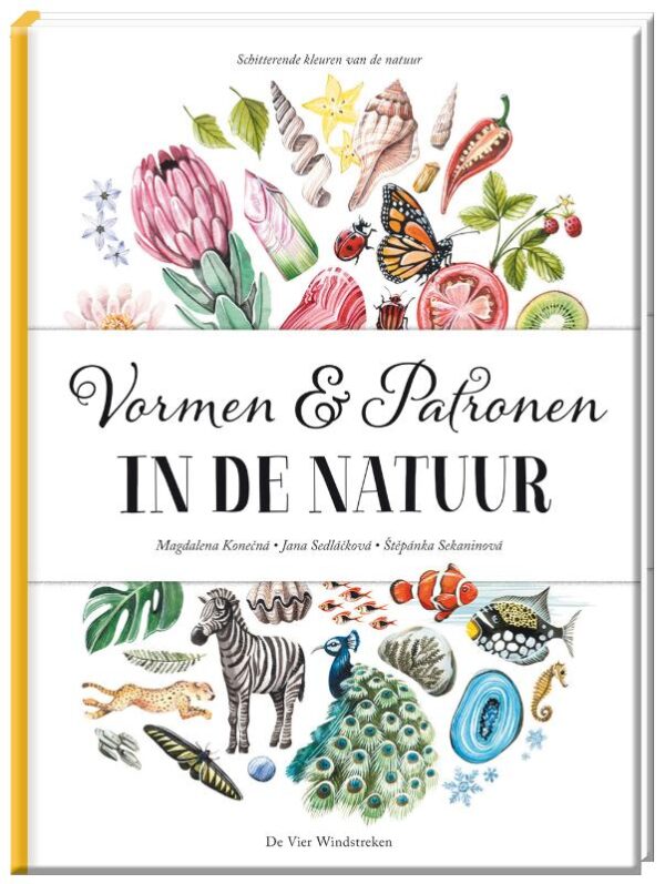 Vormen en patronen in de natuur - Afbeelding 1