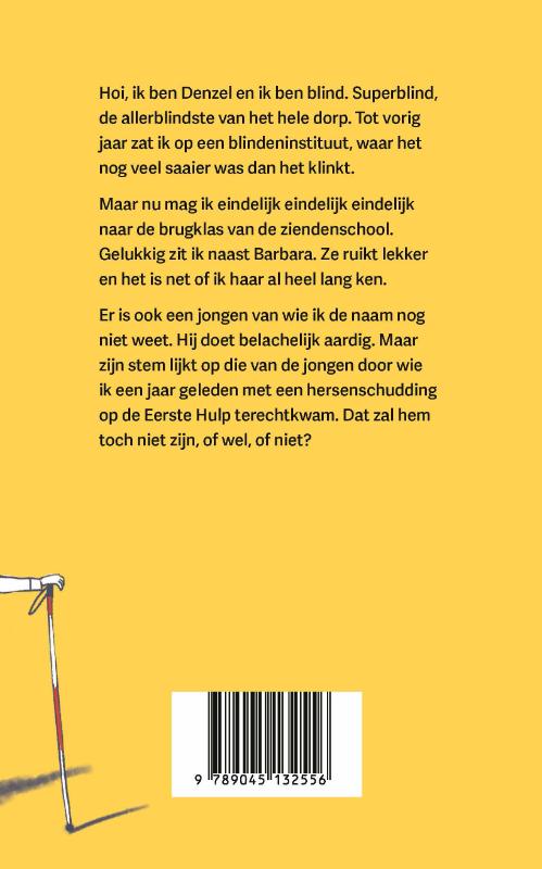 Denzel en de zienden - Afbeelding 2