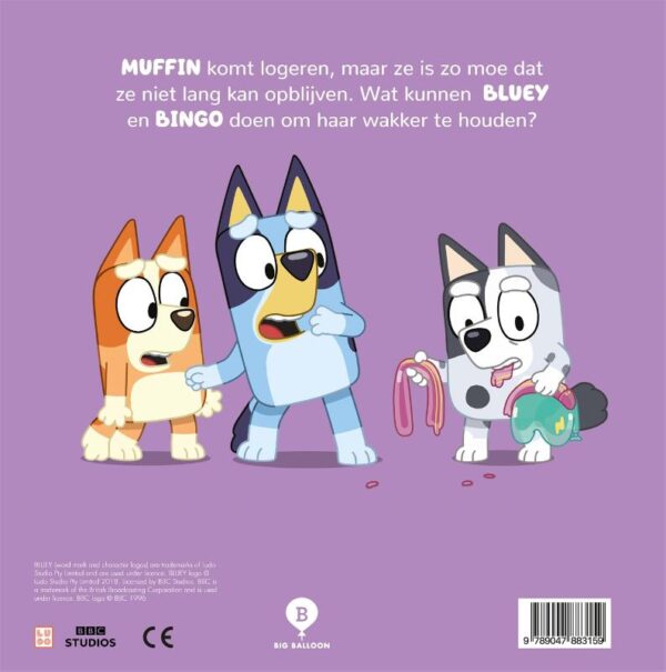 Het logeerpartijtje - Afbeelding 2