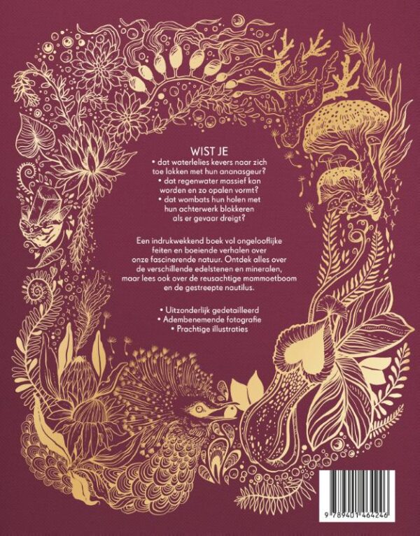 Het dikke boek van onze bijzondere natuur - Afbeelding 2