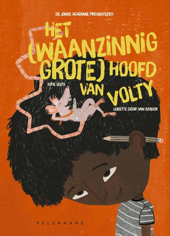 Het (waanzinnig grote) hoofd van Volty - Afbeelding 1